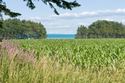 Haslevgaarde Bakker 24, Haslevgaarde, 9560 Hadsund
