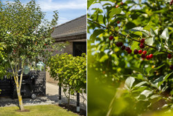 Martine Christoffersens Vej 32, Ullerup, 7000 Fredericia