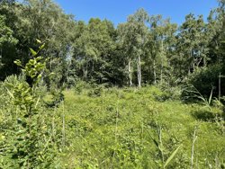 Jægerskoven 42, Helberskov, 9560 Hadsund