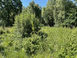 Jægerskoven 42, Helberskov, 9560 Hadsund