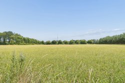 Viftrupvej 12, 7540 Haderup