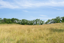 Skrænten 13, Stødov, 8420 Knebel