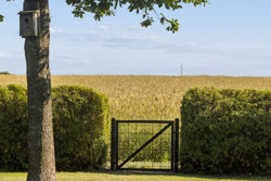 Sdr Ringgade 54, 9740 Jerslev J