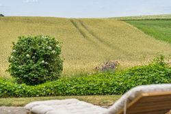 Kastrupvej 21, Kastrup, 8544 Mørke