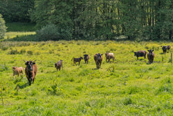 Glerupvej 21, Glerup, 9560 Hadsund