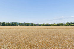 Tvilum Kirkevej 55, Tvilum, 8600 Silkeborg