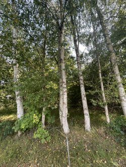 Sletten 55, Odde, 9560 Hadsund