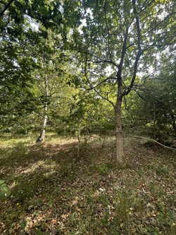 Sletten 55, Odde, 9560 Hadsund