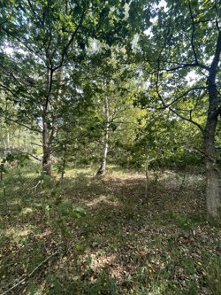 Sletten 55, Odde, 9560 Hadsund