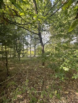 Sletten 55, Odde, 9560 Hadsund