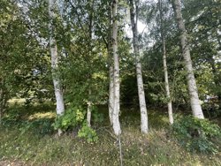Sletten 55, Odde, 9560 Hadsund