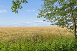 Mejerivejen 17, Fabjerg, 7620 Lemvig