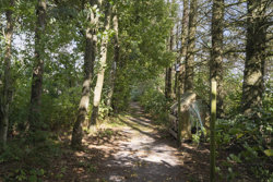 Herningvej 2, Hoven, 6880 Tarm