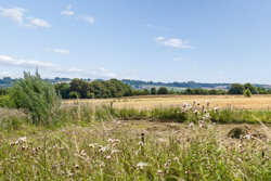Bredvadmøllevej 15, Træden, 8740 Brædstrup