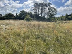 Halvrebene 62, Als, 9560 Hadsund