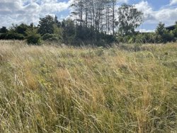 Halvrebene 62, Als, 9560 Hadsund