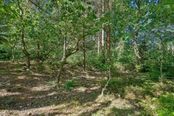 Fyrrehaven 15+11, Grønfeld, 8400 Ebeltoft