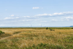 Tranevej 3, Kobæk, 4230 Skælskør