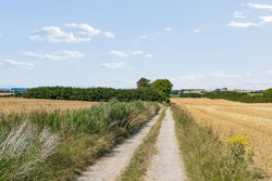 Bjørndrupmark 9, Tødsø, 7900 Nykøbing M