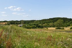 Magtenbøllevej 12, Skalbjerg, 5492 Vissenbjerg