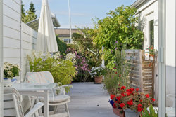 Odensevej 26, 5500 Middelfart