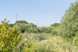 Hjermvej 55, 7600 Struer