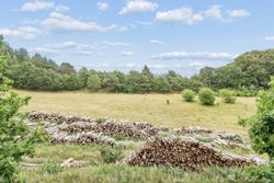 Svampedamvej 23, Femmøller, 8400 Ebeltoft