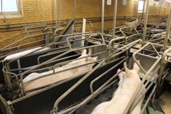 Flintdalevej 14, Hovholmvej1&BFE10010015437 Simested, 9240 Nibe