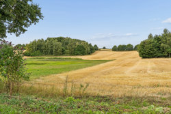 Kelstrupvej 67, Skallebølle, 5492 Vissenbjerg