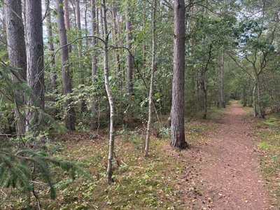 Odde Naturpark 66