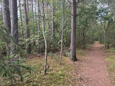 Odde Naturpark 66, Helberskov, 9560 Hadsund