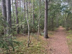Odde Naturpark 66, Helberskov, 9560 Hadsund