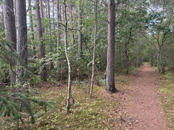 Odde Naturpark 66, 9560 Hadsund