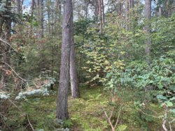 Odde Naturpark 66, Helberskov, 9560 Hadsund