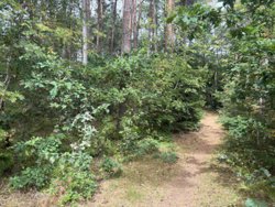 Odde Naturpark 66, Helberskov, 9560 Hadsund