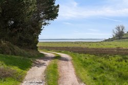 Engdraget 16, Lyby Strand, 7870 Roslev