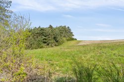 Engdraget 16, Lyby Strand, 7870 Roslev