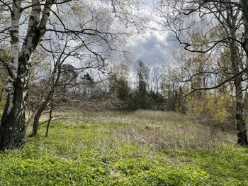 Lysevej 26, 9560 Hadsund
