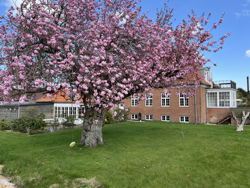 Brårupvej 54, 7800 Skive