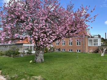 Brårupvej 54, 7800 Skive