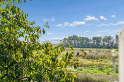 Gyvelhøjen 20, Vejby, 7860 Spøttrup