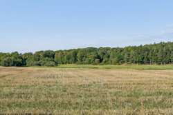 Gammel Landevej 23, Skærvad, 8500 Grenaa