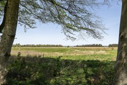 Pallesdamvej 10, Stårup, 7840 Højslev