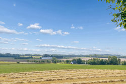 Thoruphedevej 25, Rold, 9510 Arden