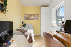 Bjerget 4, 9800 Hjørring