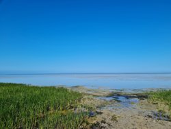 Odde Naturpark 66, Helberskov, 9560 Hadsund