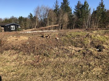 Pinen 44, 7870 Roslev