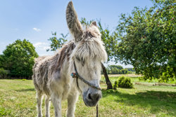 Ridderlundvej 7, Kærby, 8560 Kolind