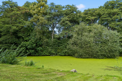 Sv Schous Alle 8, 9560 Hadsund