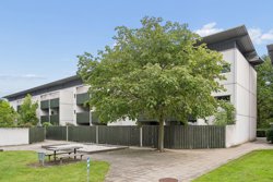 Rævehøjparken 6, 2 tv, 2800 Kongens Lyngby